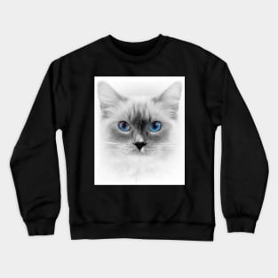 White Box Series Blue Eyed Cat Crewneck Sweatshirt